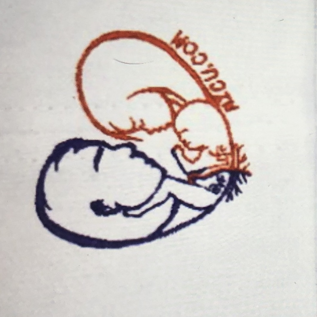 Nicu Hat Logo